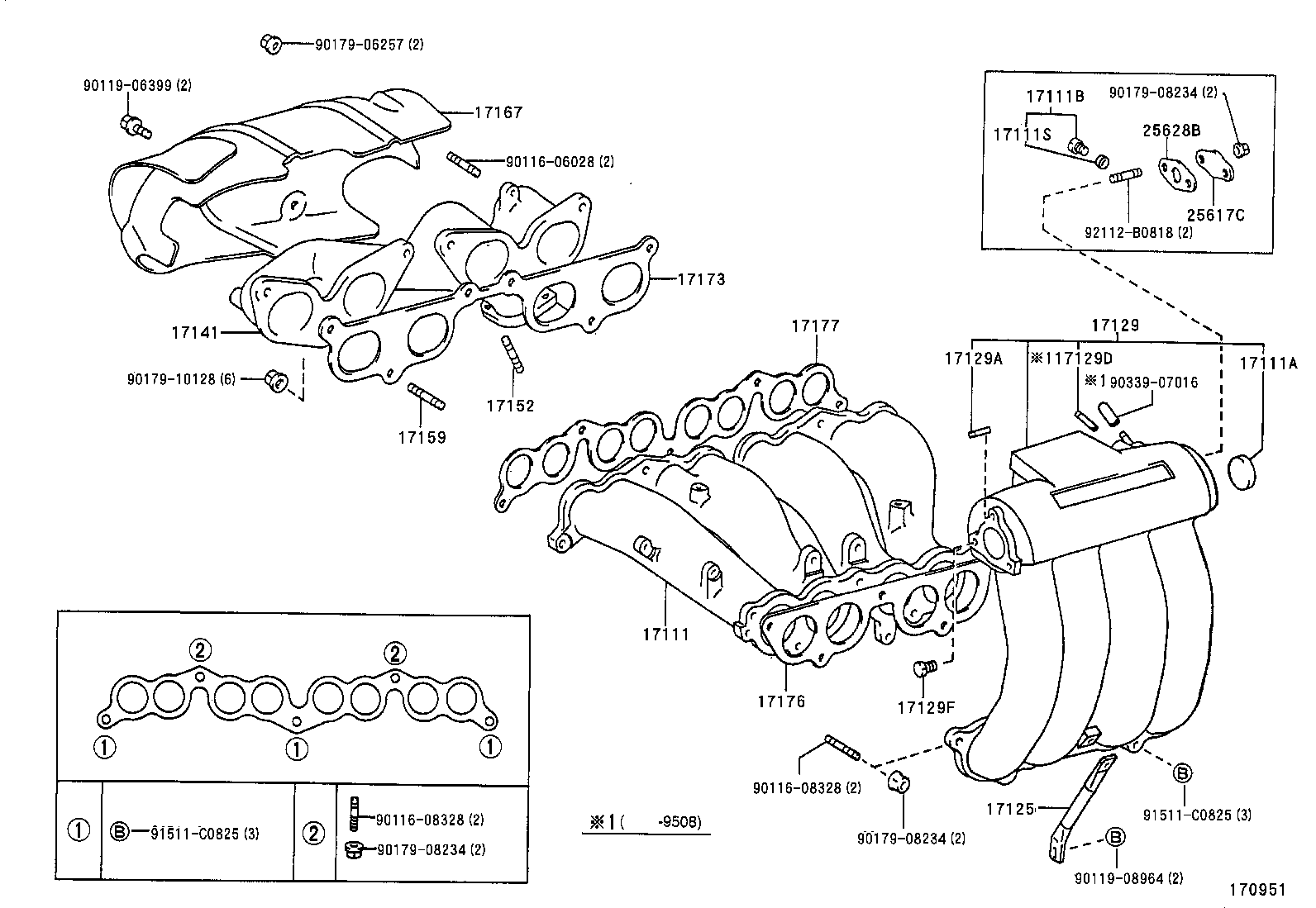 Figure 170951
