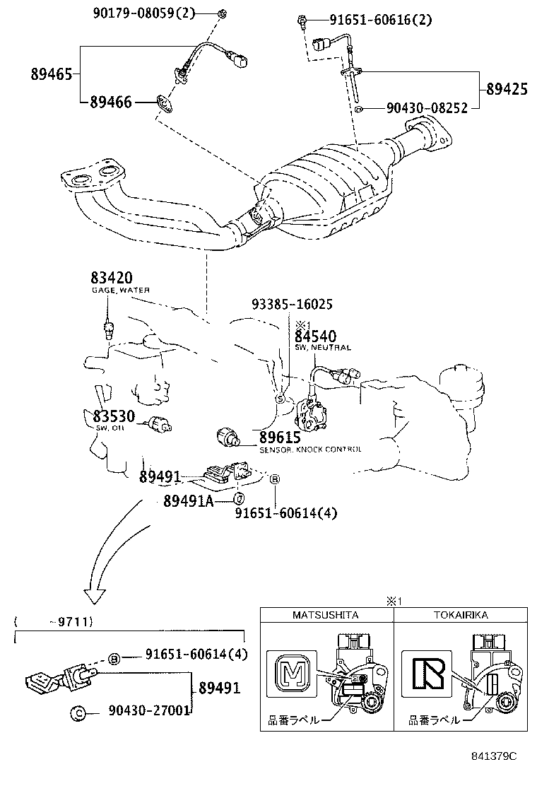 Figure 841379C