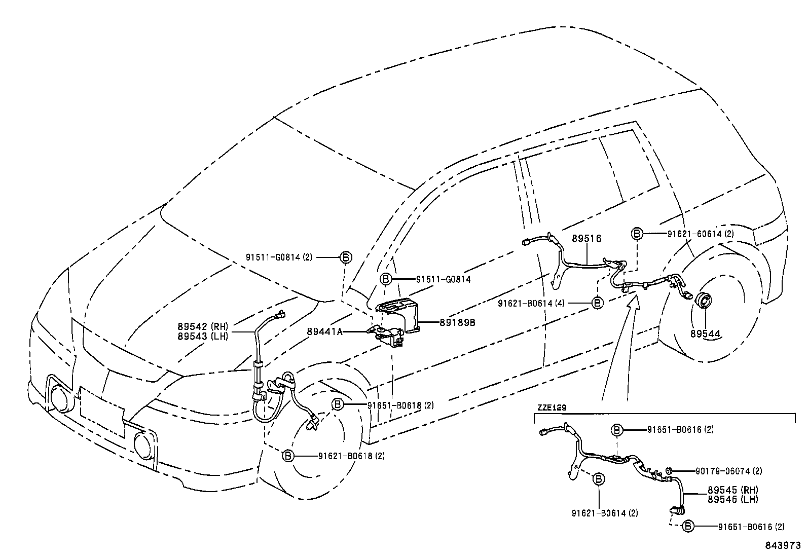 Figure 843973