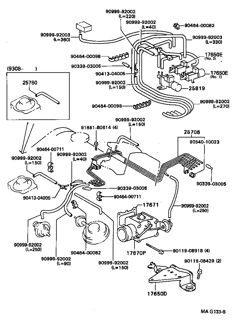 Figure MAG133B