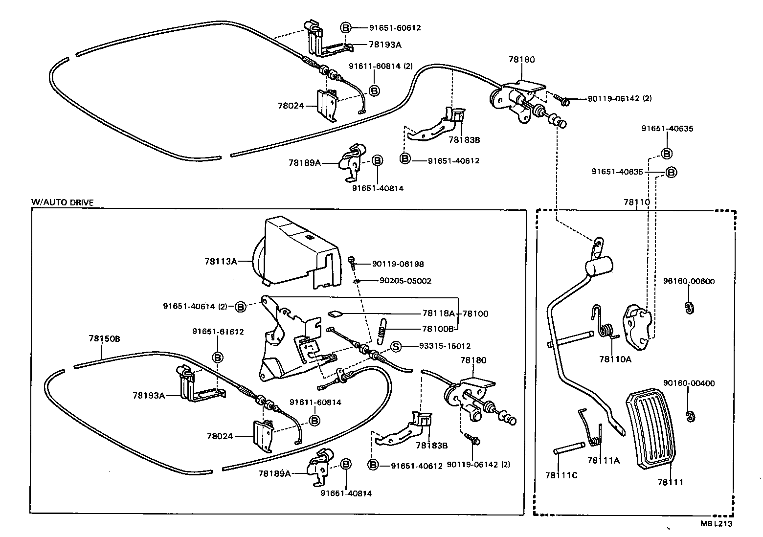 Figure MBL213