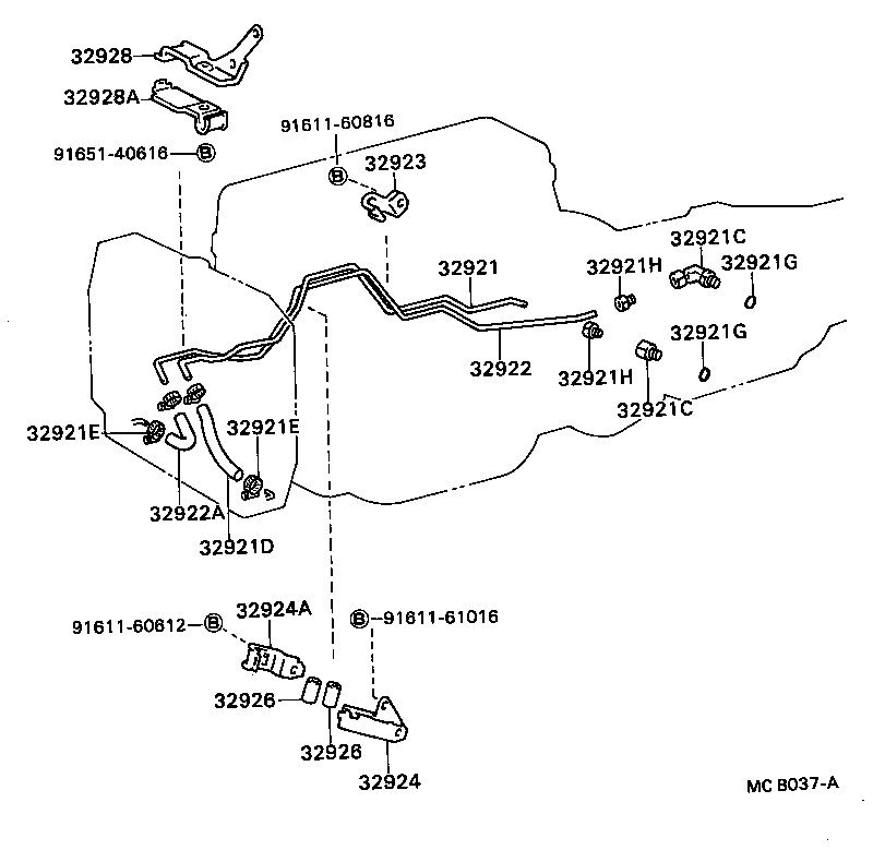 Figure MCB037A