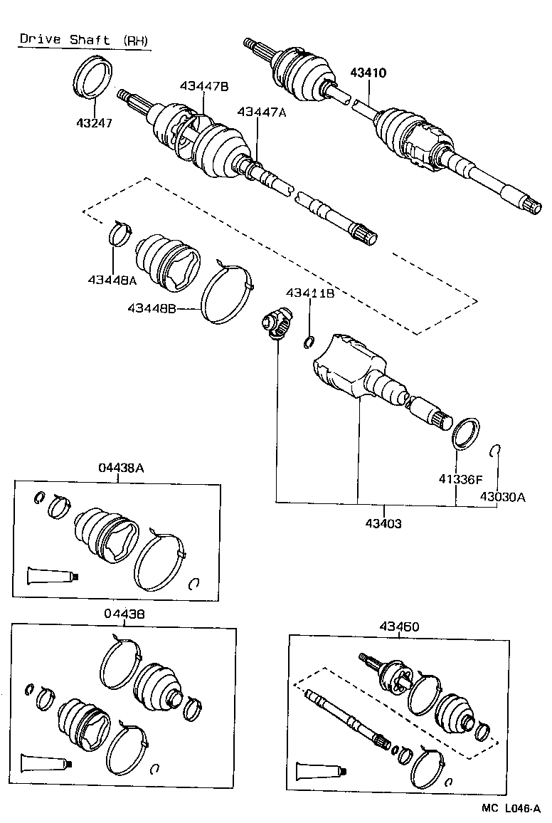 Figure MCL046A
