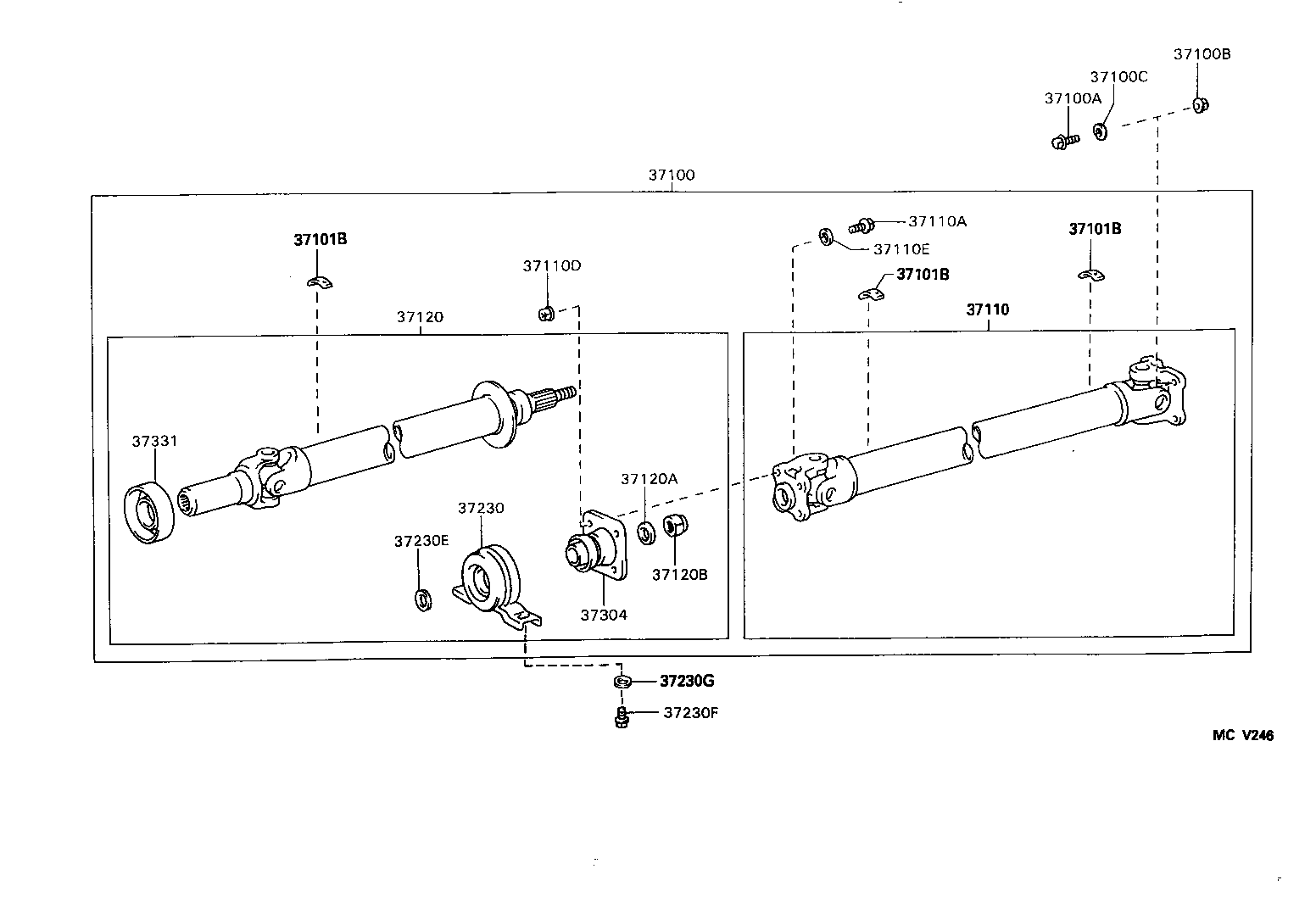 Figure MCV246