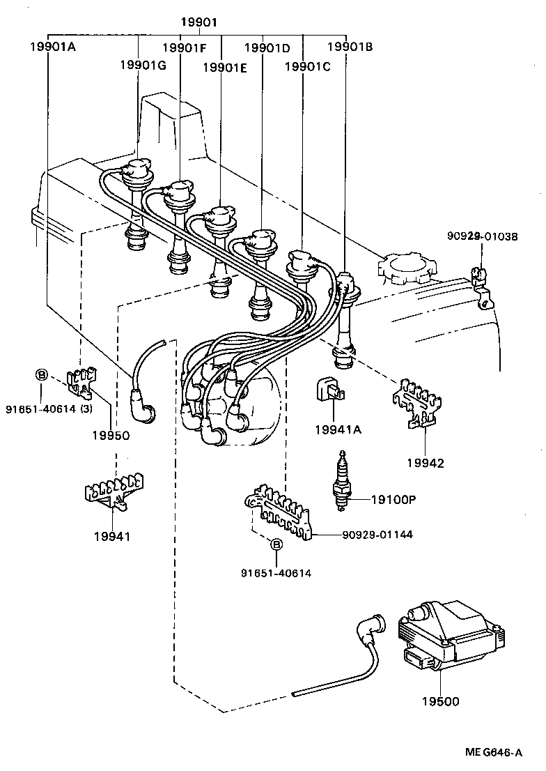 Figure MEG646A