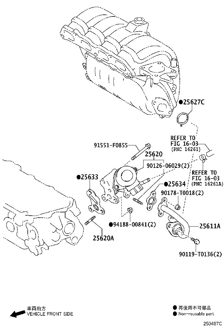 Figure 250487C