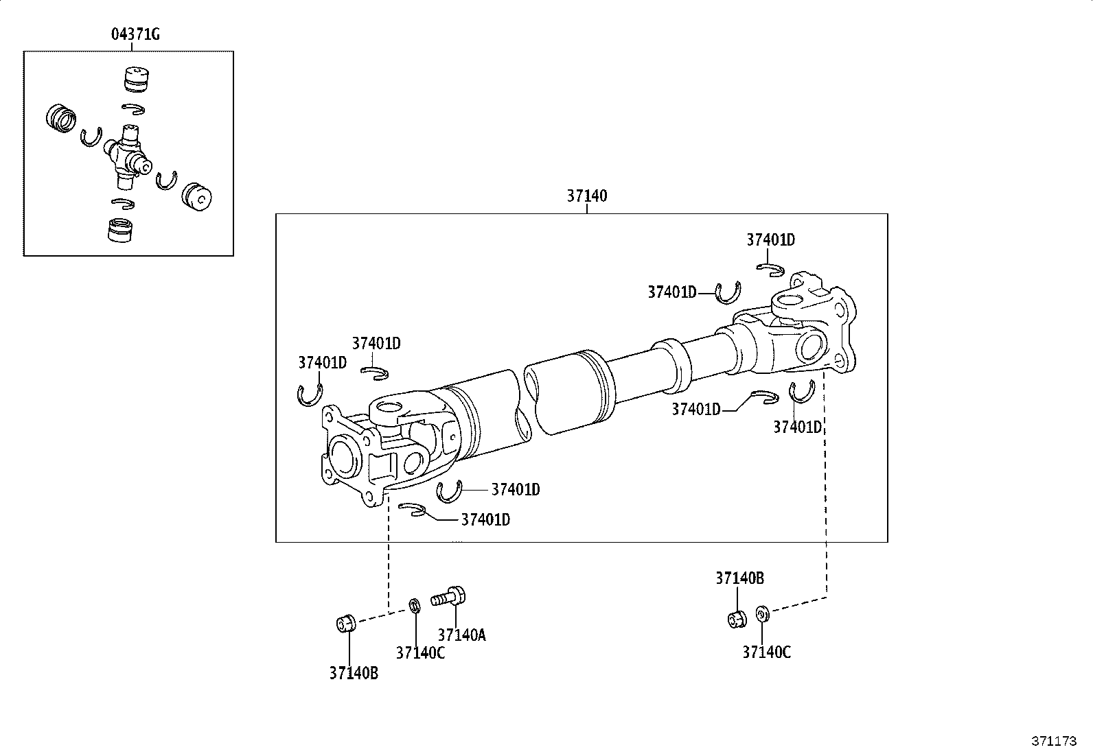 Figure 371173