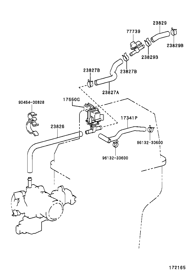 Figure 172165