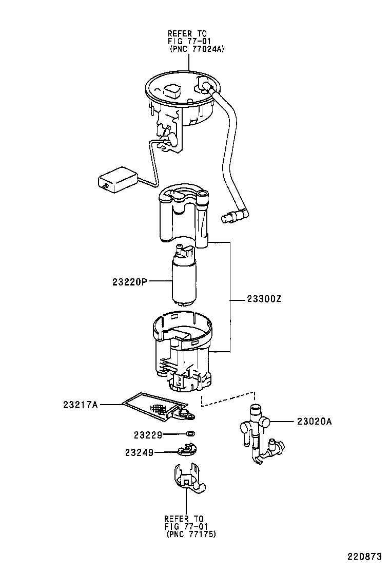 Figure 220873
