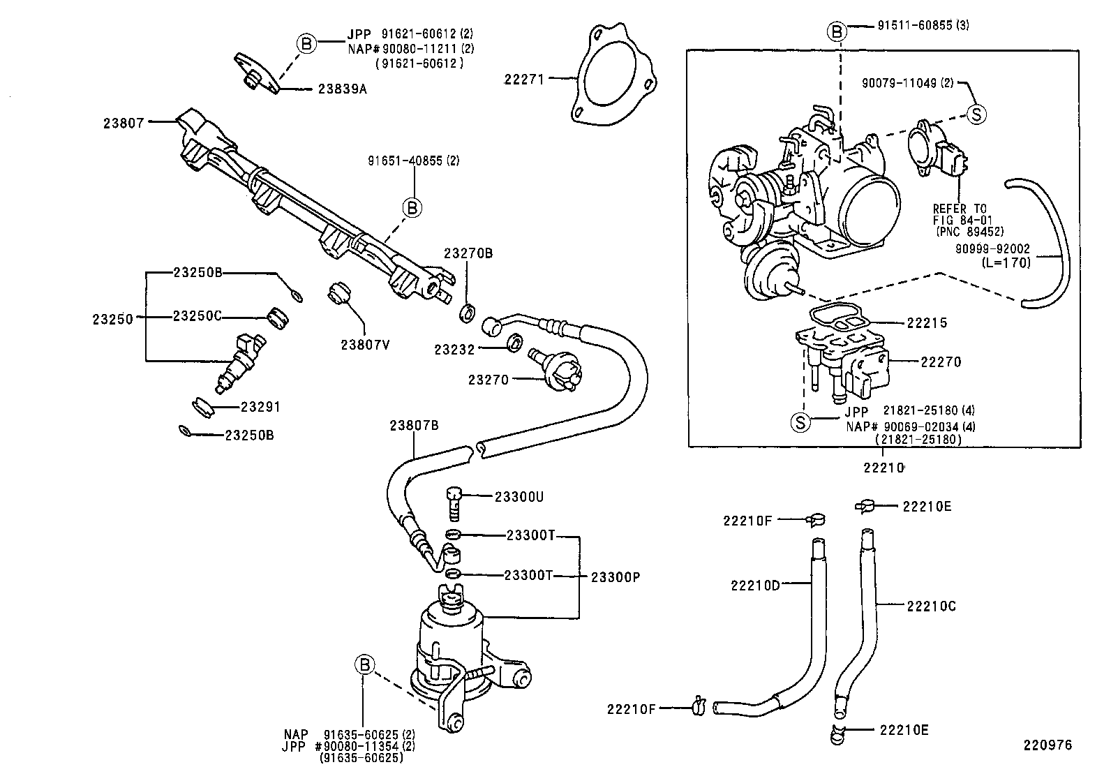 Figure 220976