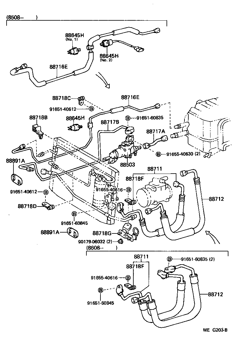 Figure MEG203B