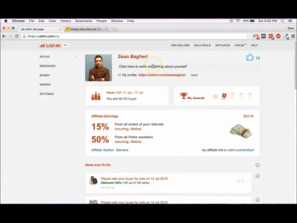Sean Bagheri review on Udimi solo ads