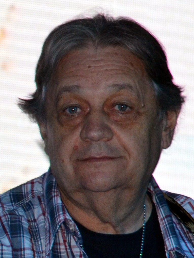 Mircea Vintila
