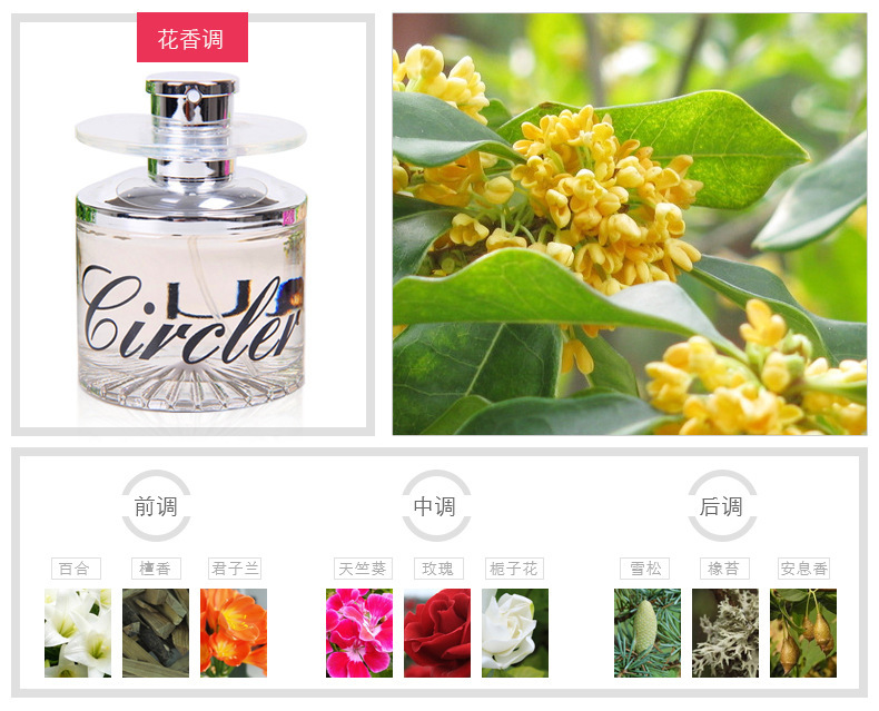 Product 7