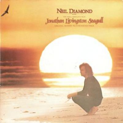 Jonathan Livingston Seagnll