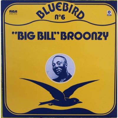 Bluebird N°6