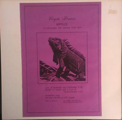 Reptiles