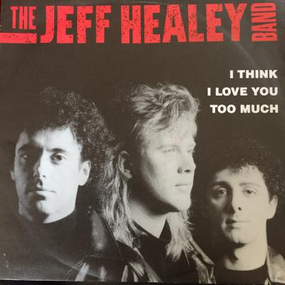 I Think I Love You Too Much/something To Hold On To