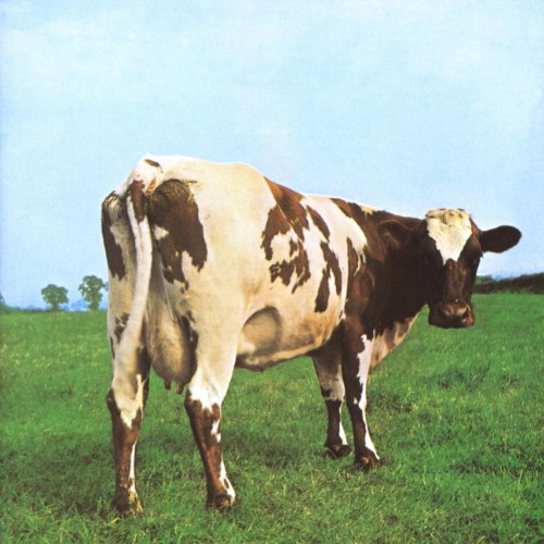 Atom Heart Mother 8 14,50 35 0(2,50 10 13) 18 Ex Vg++