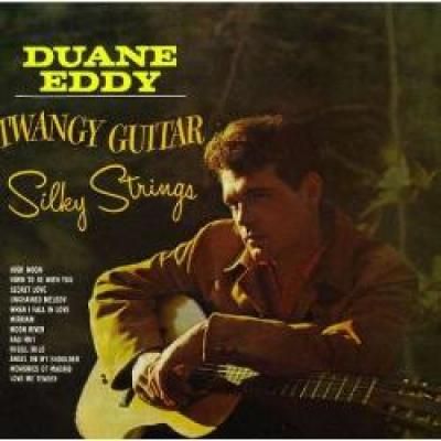 Twangy Guitar-stil Strings