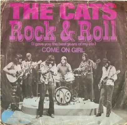 Rock & Roll (i Gave You The Best Years Of My Life)