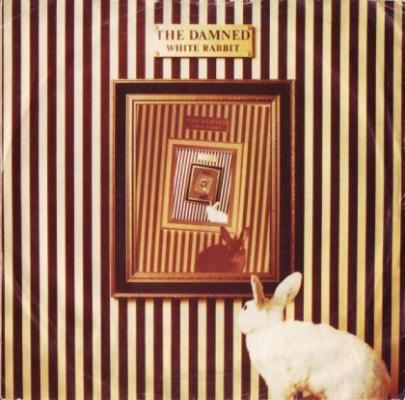 White Rabbit