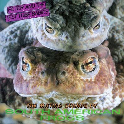 The Mating Sounds Of South American Frogs