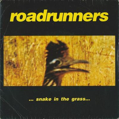 Snake In The Grass
