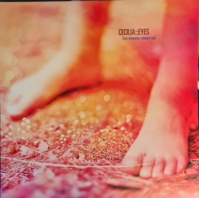 Sore Memories Always End