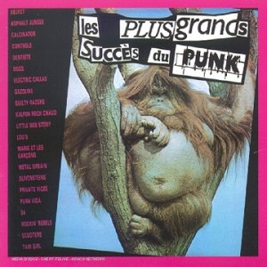 Les 30 Plus Grands Succès Du Punk