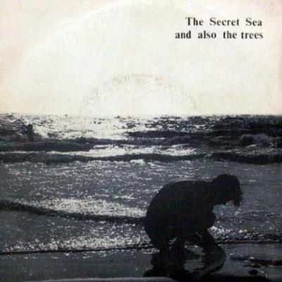 The Secret Sea