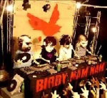 Birdy Nam Nam