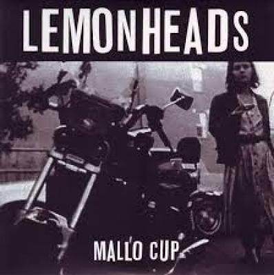 Mallo Cup