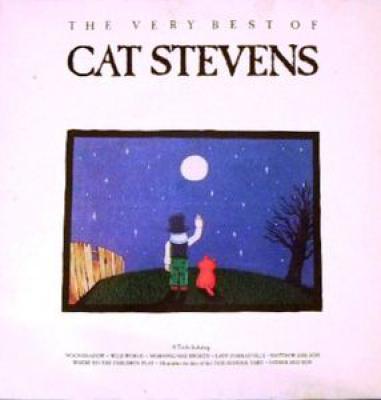 Integral Cover Version Of