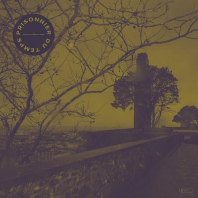 Comme Un Lion En Cage