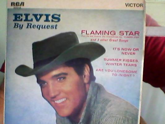 Elvis By Request