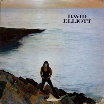 David Elliott