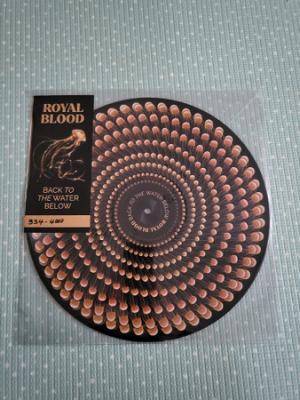 Back To The Water Below - Picture Disc Edition