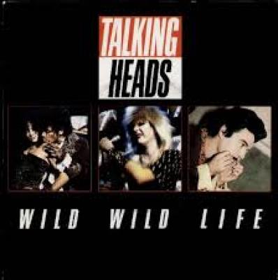 Wild Wild Life