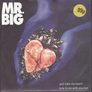 Just Take My Heart 7 Inch