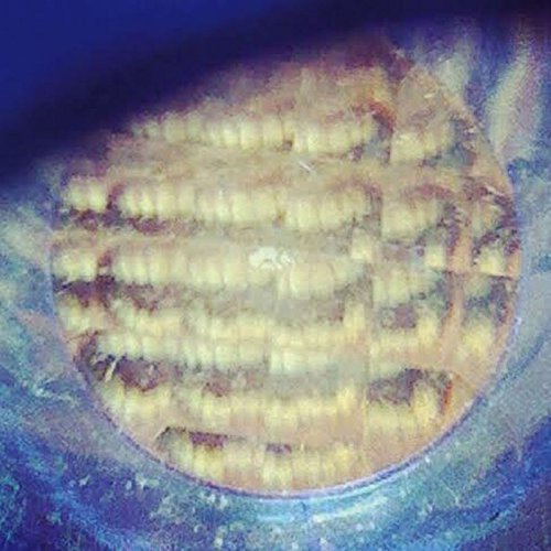 Where Will We Go, Pt. I & Ii