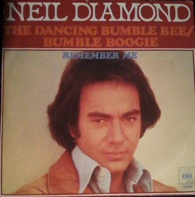 The Dancing Bumble Bee/bumble Boogie