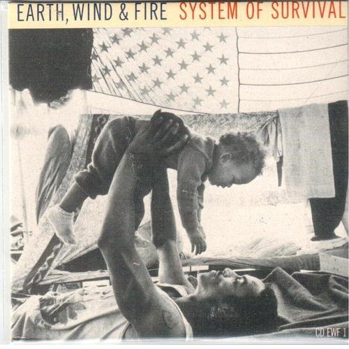 System Of Survival