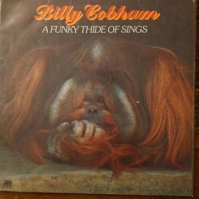 A Funky Thide Of Sings