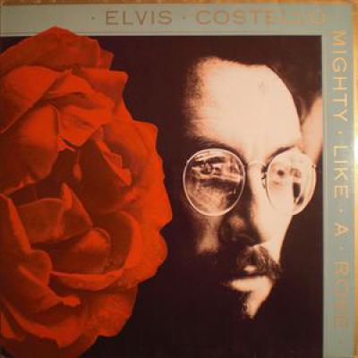 Mighty Like A Rose