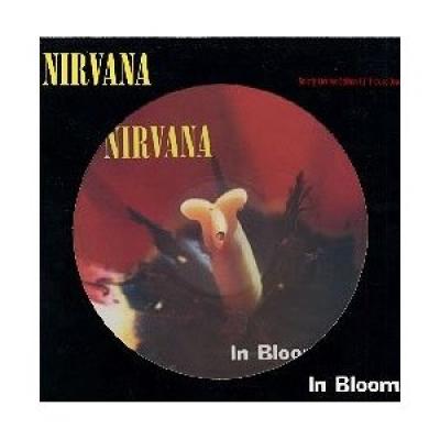 In Bloom