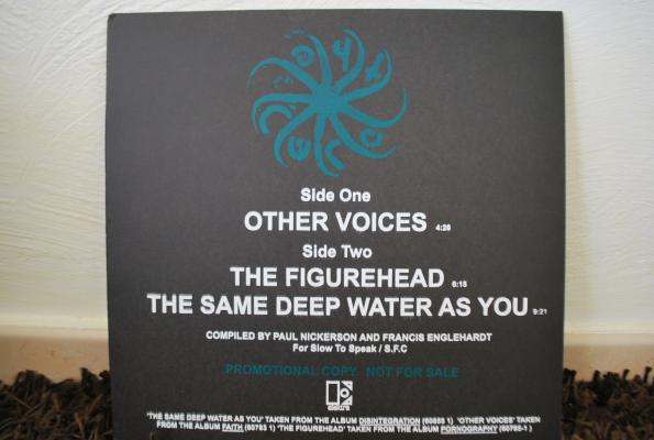 Other Voices