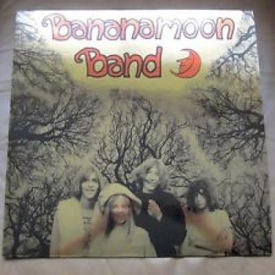 Bananamoon Band