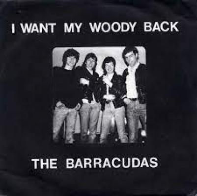 I Want My Woody Back