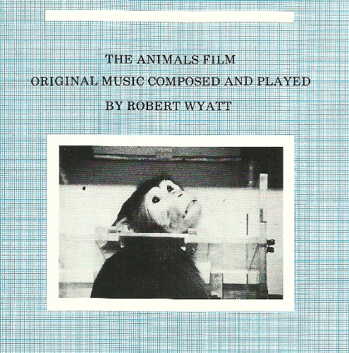 The Animals Film